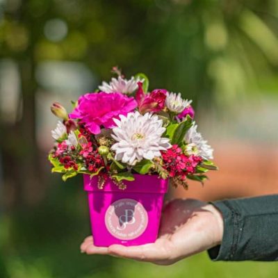 mini posy pot pink