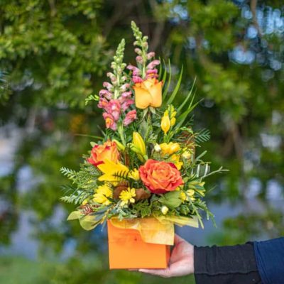 Bright Posy Box of Flowers