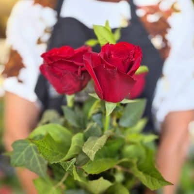 3 rose vase cover photo