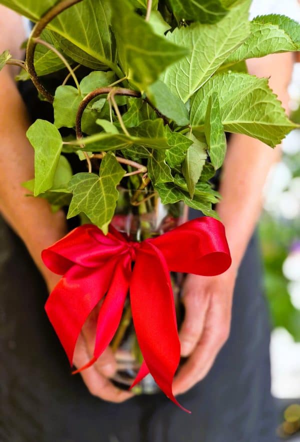 3 Red Roses in Vase with Greenery - Image 3