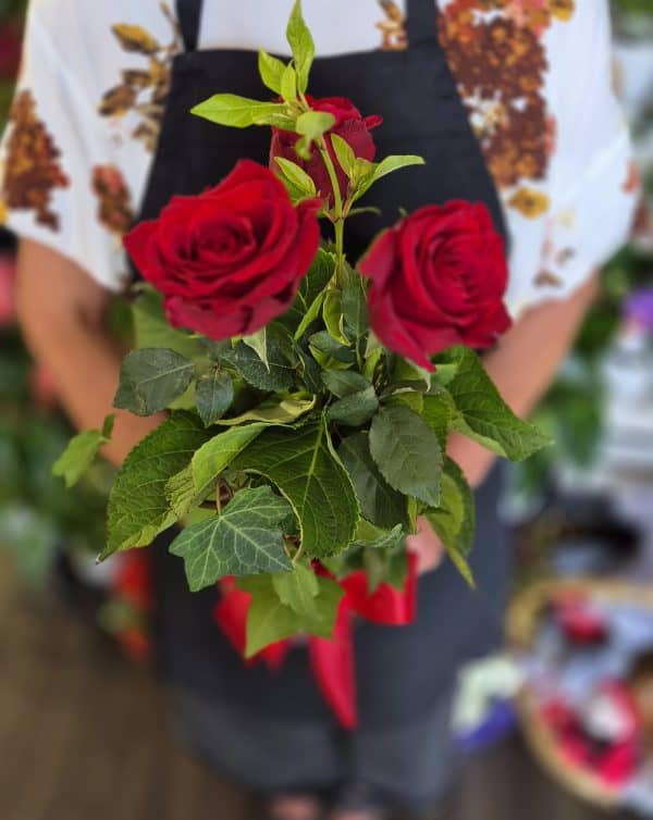 3 Red Roses in Vase with Greenery - Image 2