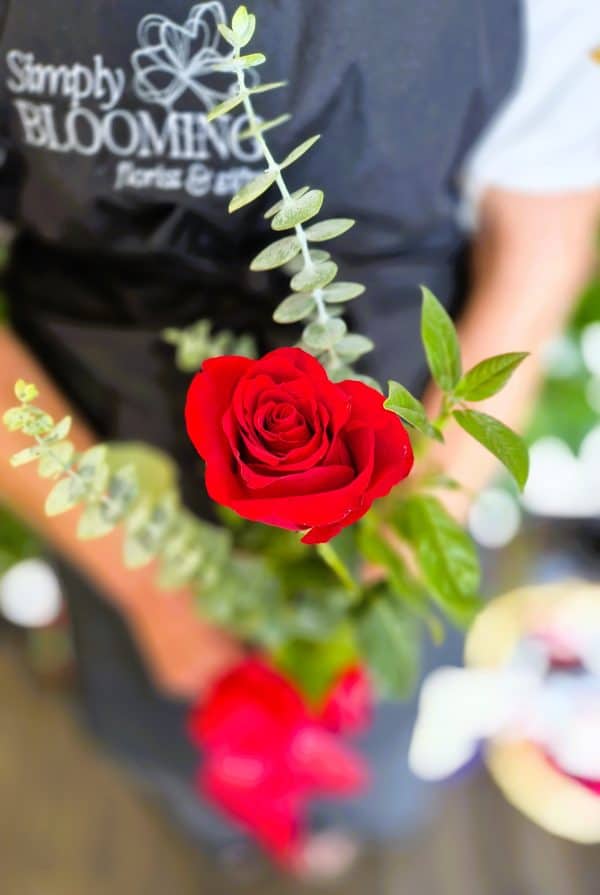 Red Rose in Single Bud Vase with Greenery